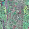 -Операция ′Лесополоса′