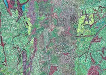 -Операция ′Лесополоса′